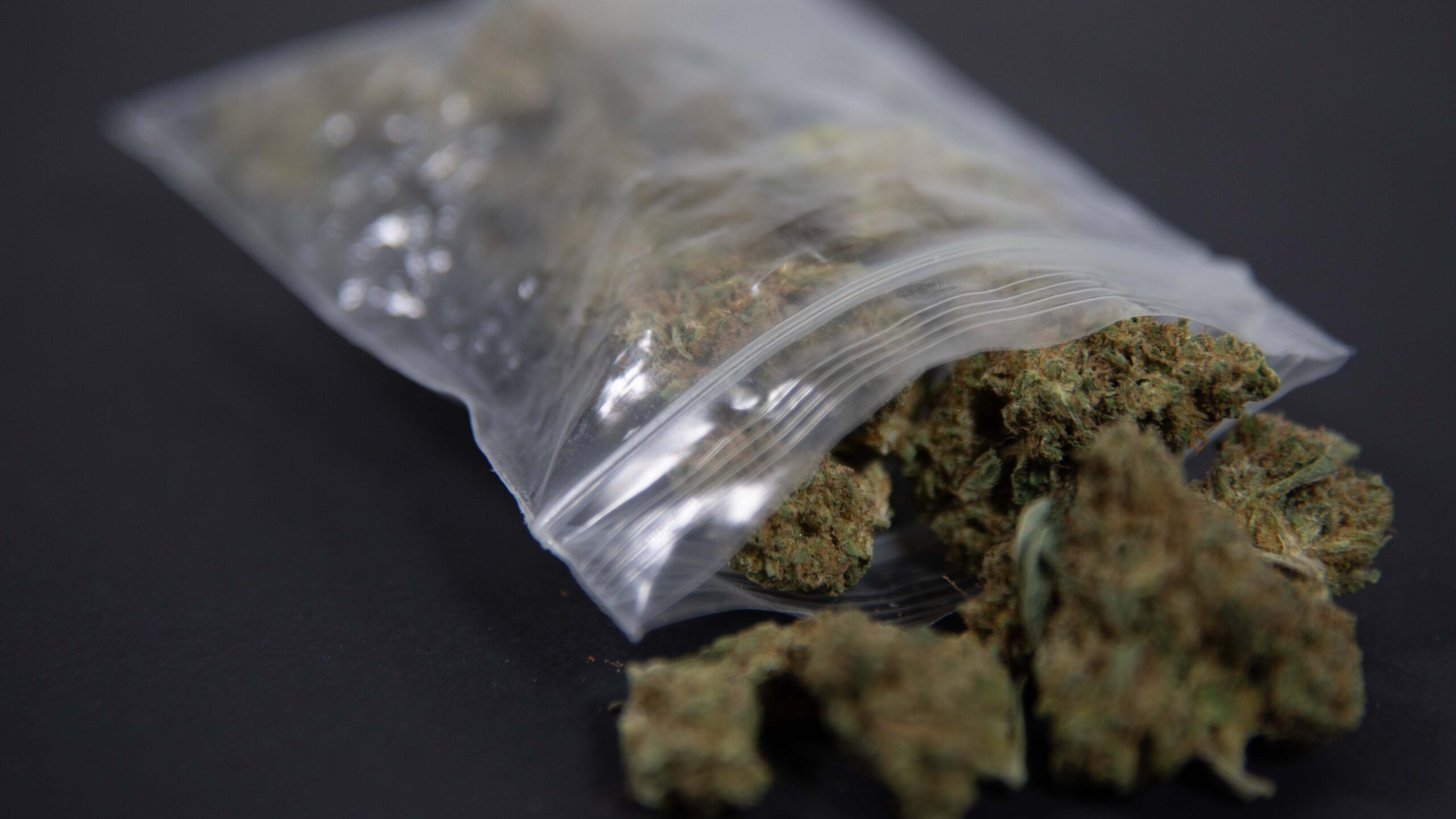 What State Legalization Has (and Hasn’t) Done to Curb Illegal Cannabis